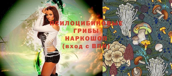 винт Пролетарск